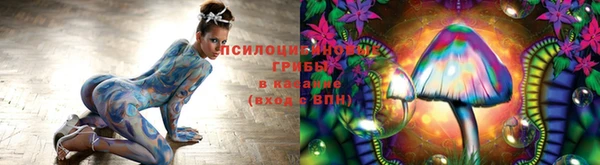 mix Ельня