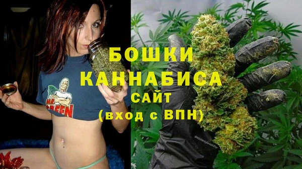 mix Ельня