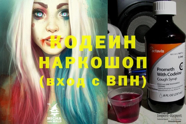 сатива Елабуга