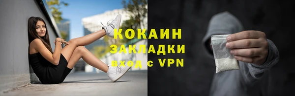 сатива Елабуга
