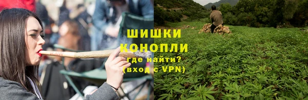 сатива Елабуга