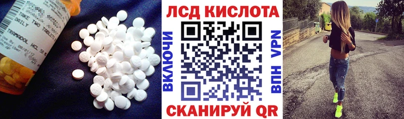 даркнет сайт  Конаково  Лсд 25 экстази ecstasy 
