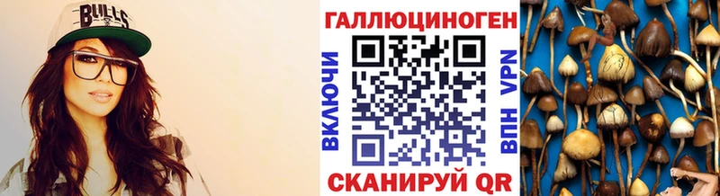 OMG как зайти Конаково Псилоцибиновые грибы Psilocybe