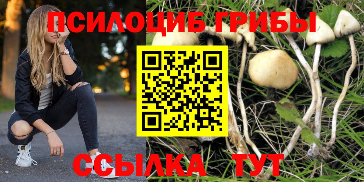 Галлюциногенные грибы Psilocybine cubensis  Вход с VPN  Конаково  Псилоцибиновые грибы Psilocybe 