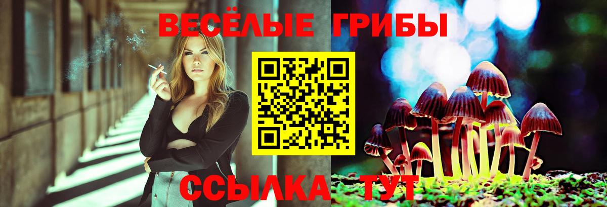 Псилоцибиновые грибы MAGIC MUSHROOMS Конаково